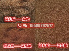 海藻籽里面的雜物應(yīng)該用啥機器清除？海藻籽比重風(fēng)選篩分機